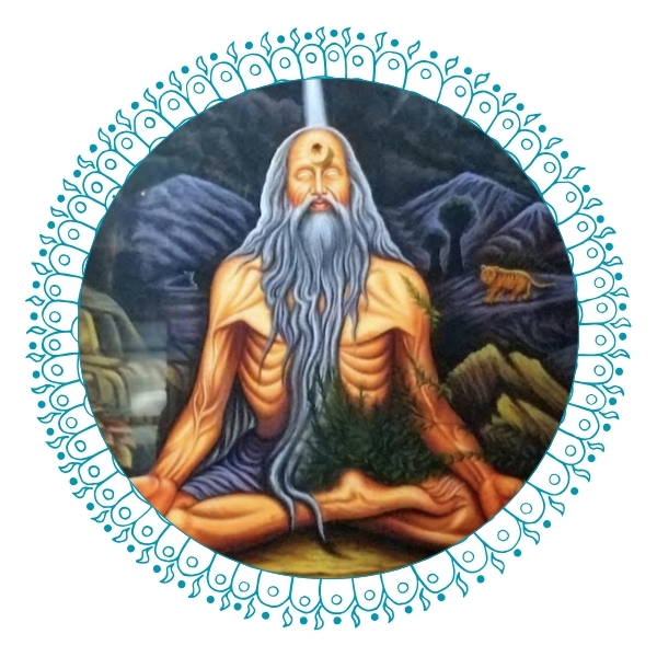 Yoga Teachers, Yoga Instructors