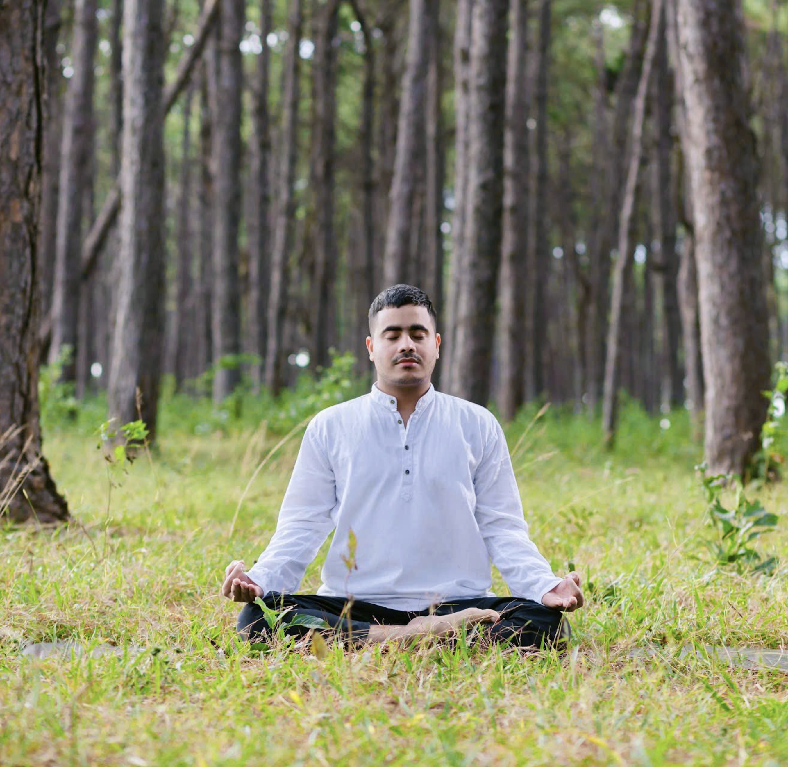 50 Hour Yin Yoga Training in Rishikesh